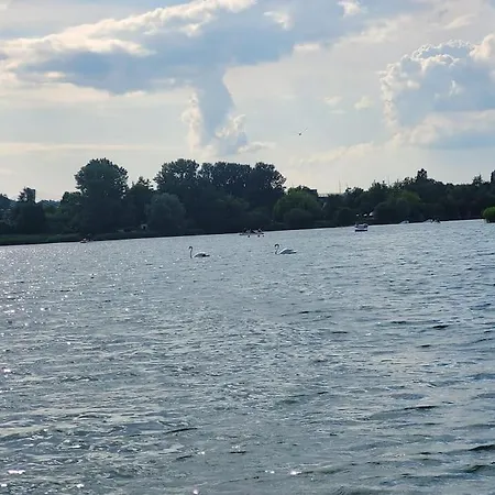 U Oli I Laury * Krakow