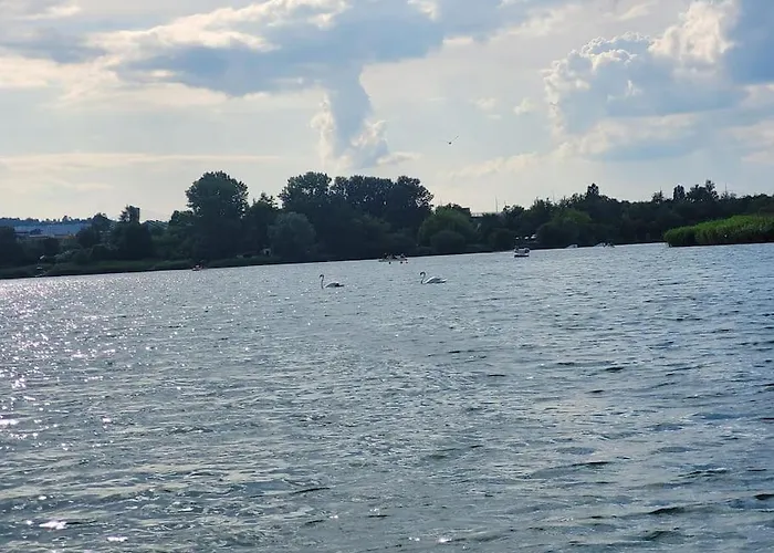 U Oli I Laury * Krakow