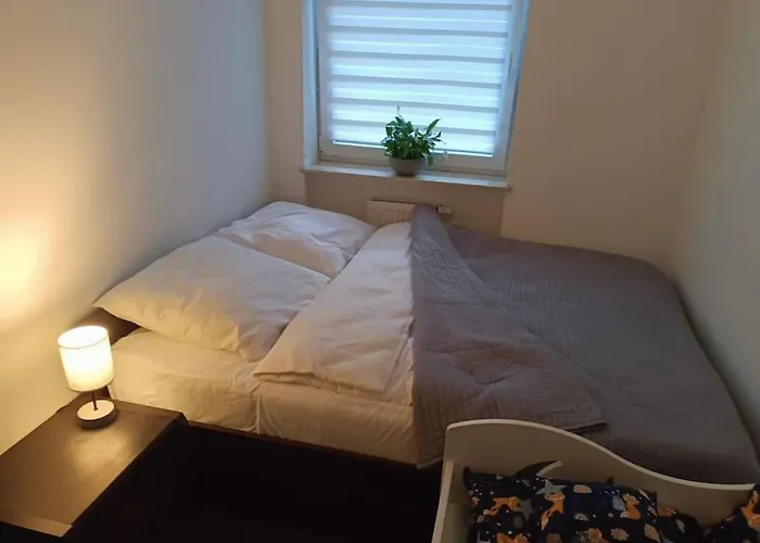 Daire U Oli I Laury Krakow